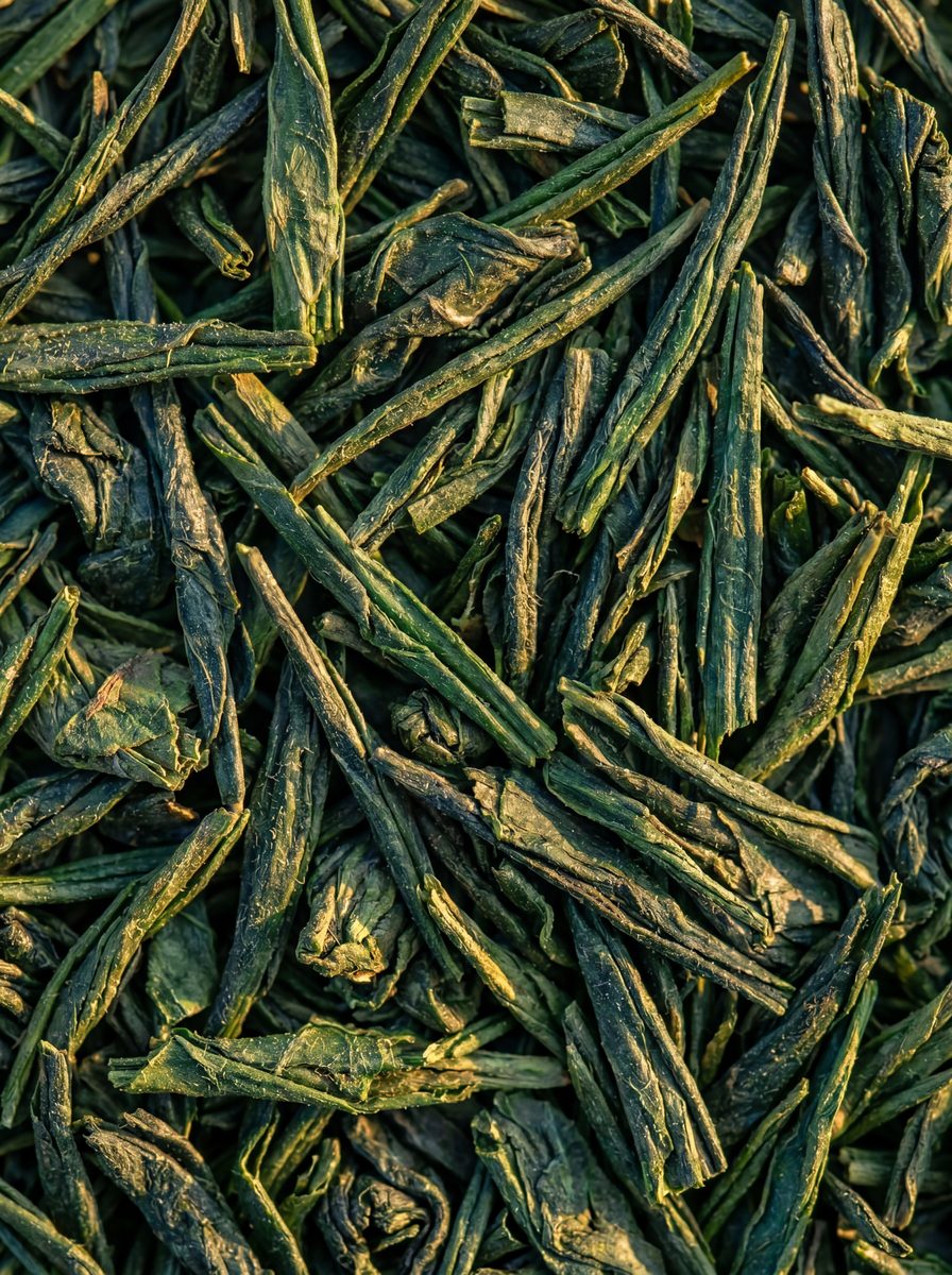Gyokuro Grüntee